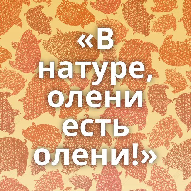 «В натуре, олени есть олени!»