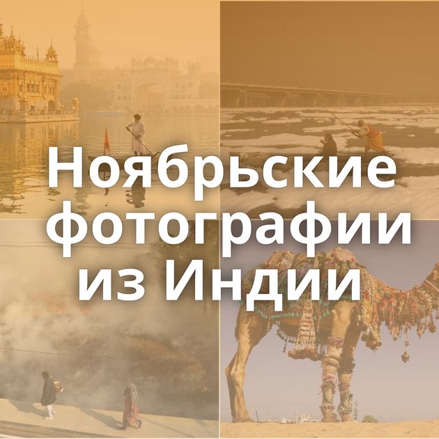 Ноябрьские фотографии из Индии