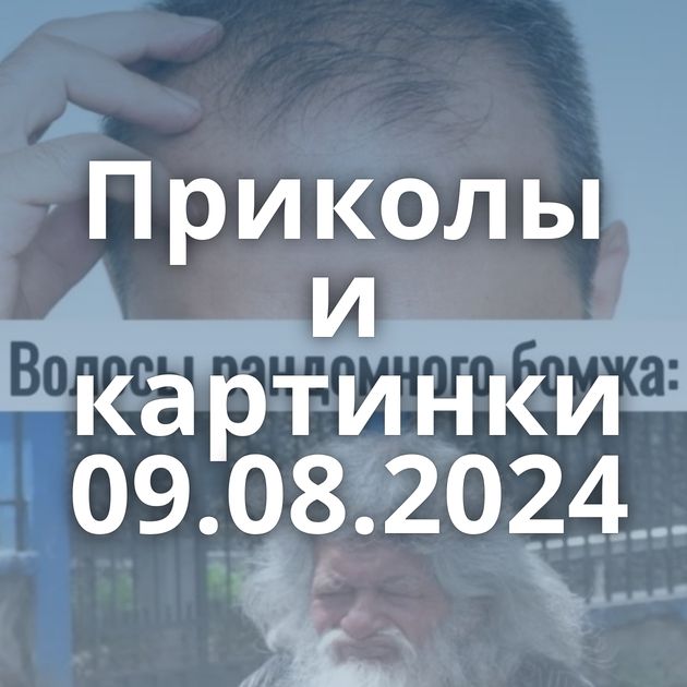 Приколы и картинки 09.08.2024