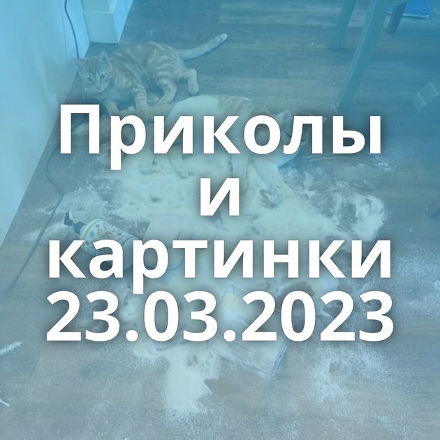 Приколы и картинки 23.03.2023