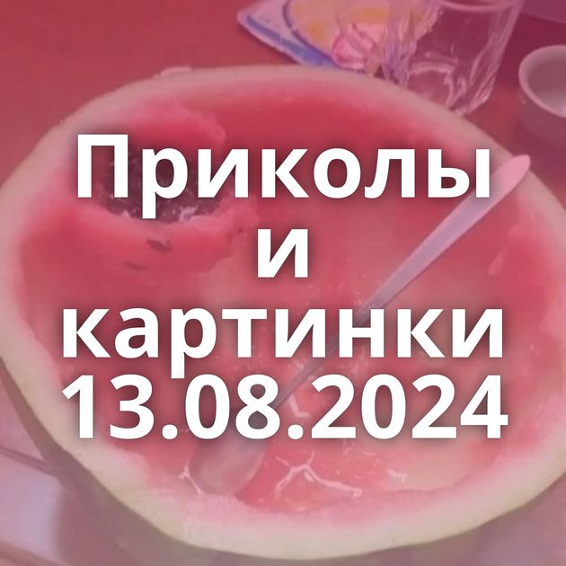 Приколы и картинки 13.08.2024