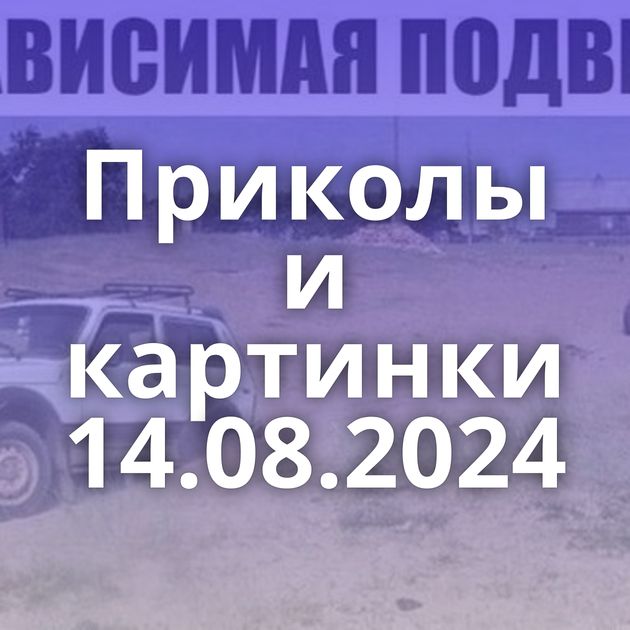 Приколы и картинки 14.08.2024