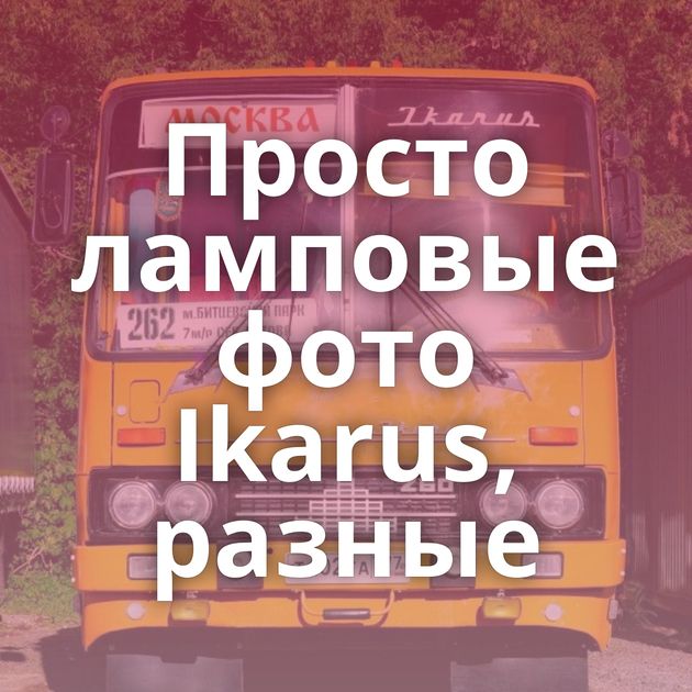 Просто ламповые фото Ikarus, разные