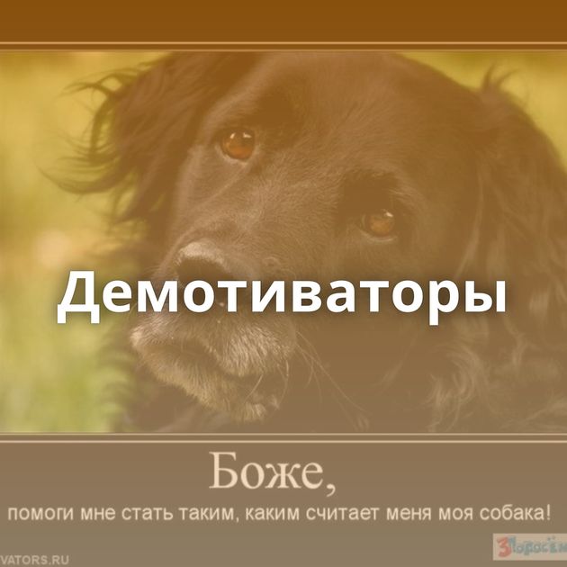 Демотиваторы