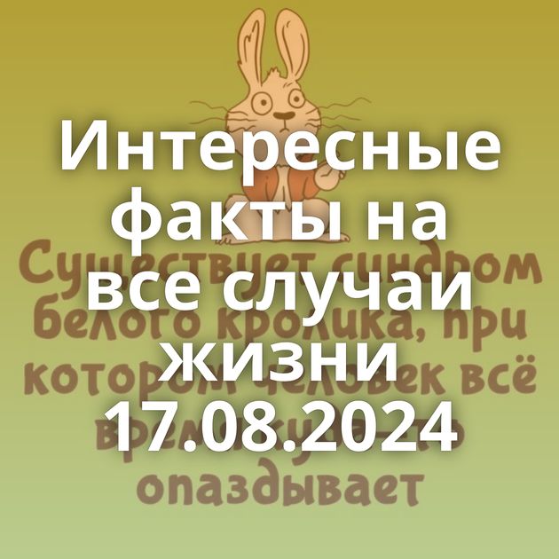 Интересные факты на все случаи жизни 17.08.2024