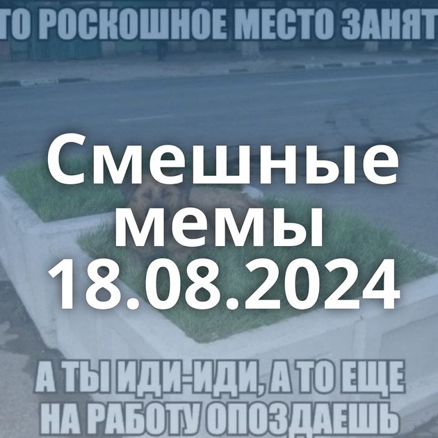 Смешные мемы 18.08.2024