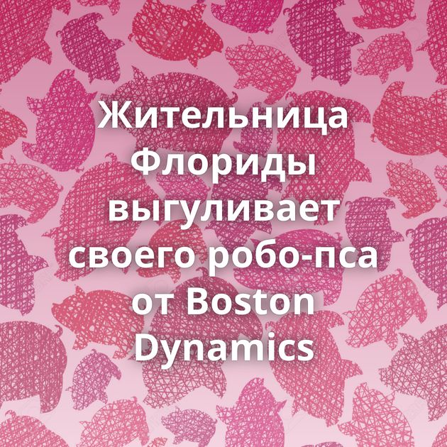 Жительница Флориды выгуливает своего робо-пса от Boston Dynamics