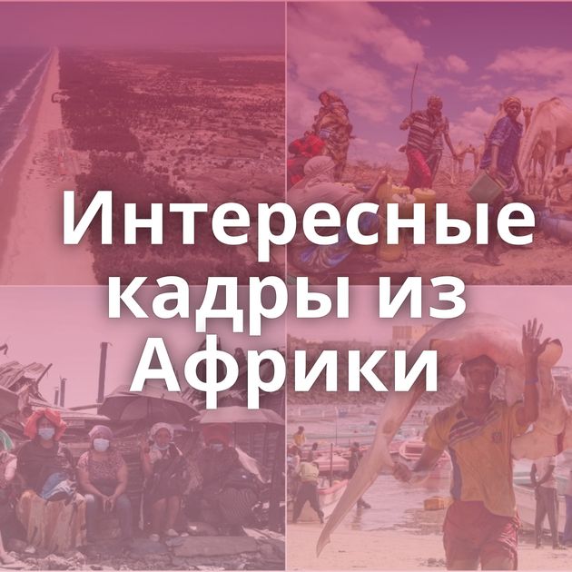 Интересные кадры из Африки