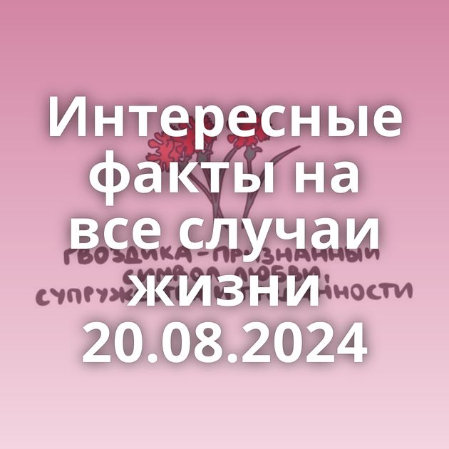 Интересные факты на все случаи жизни 20.08.2024