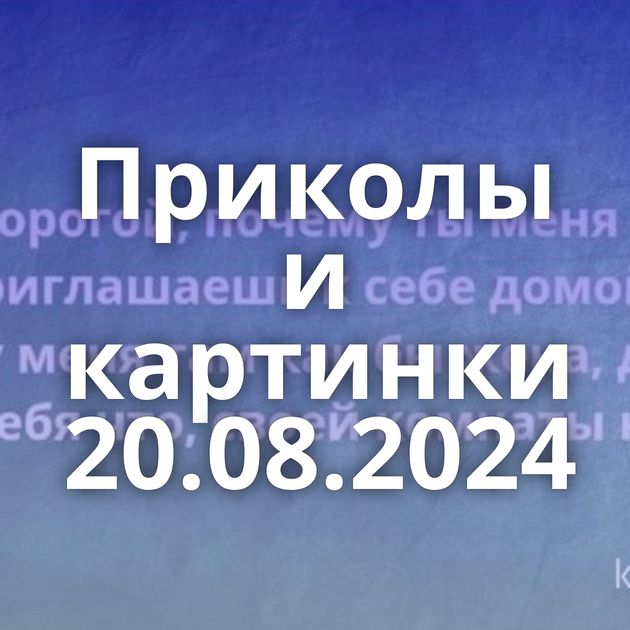 Приколы и картинки 20.08.2024