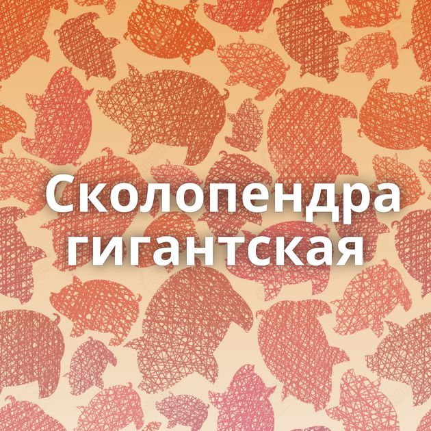 Сколопендра гигантская