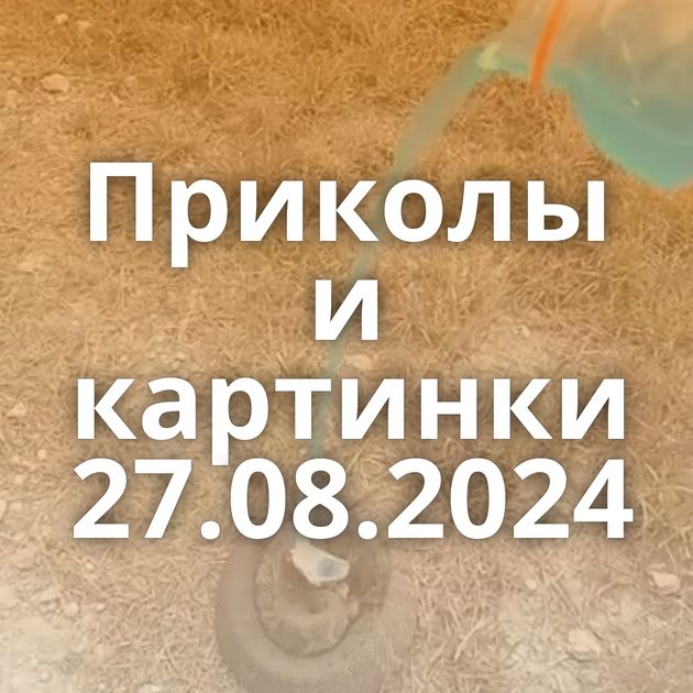 Приколы и картинки 27.08.2024