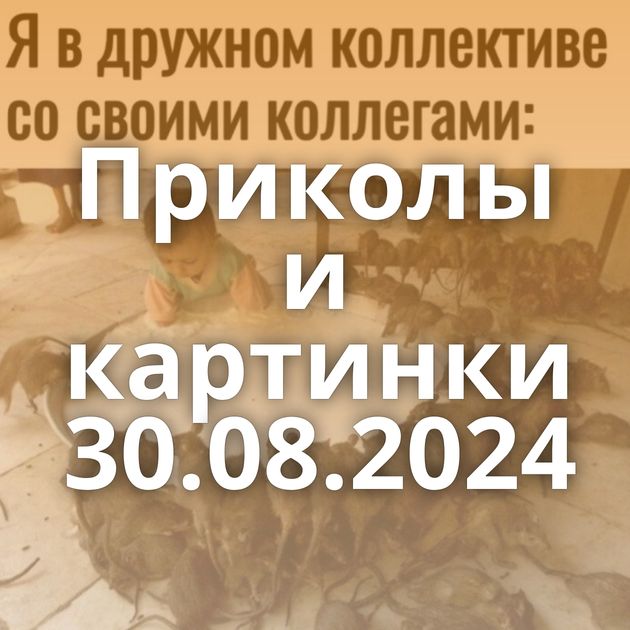 Приколы и картинки 30.08.2024