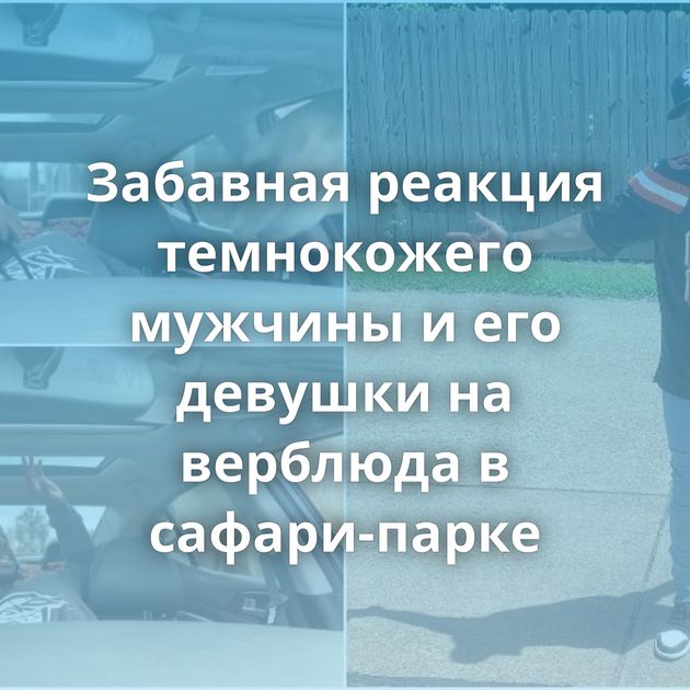 Забавная реакция темнокожего мужчины и его девушки на верблюда в сафари-парке