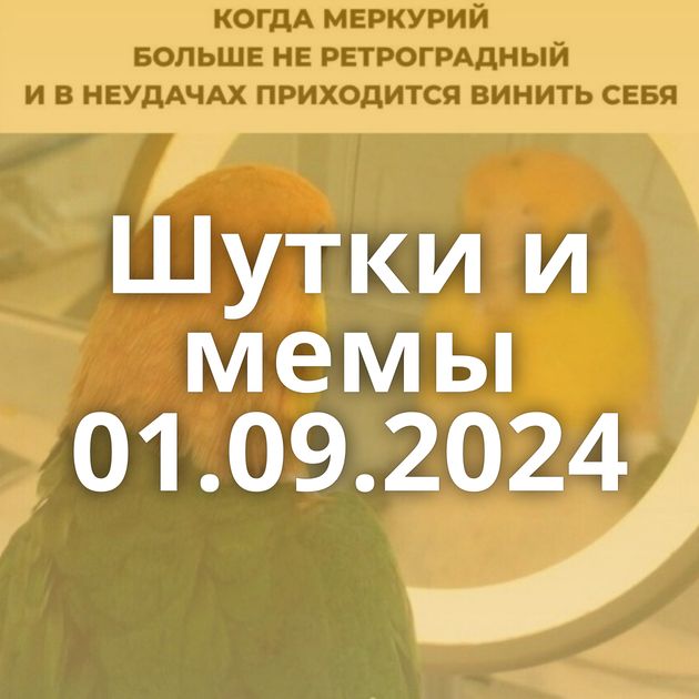 Шутки и мемы 01.09.2024