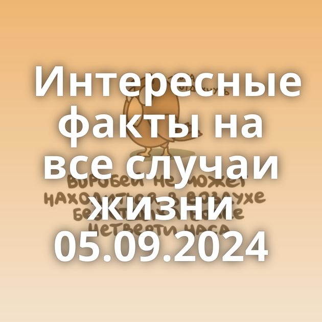 Интересные факты на все случаи жизни 05.09.2024