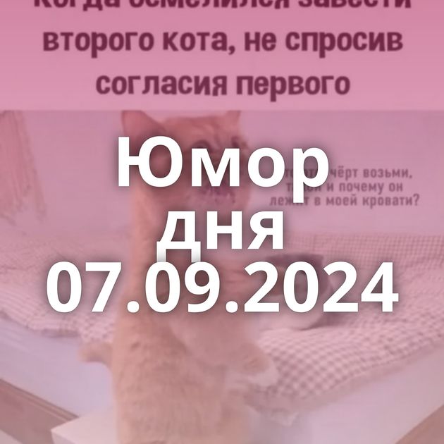 Юмор дня 07.09.2024