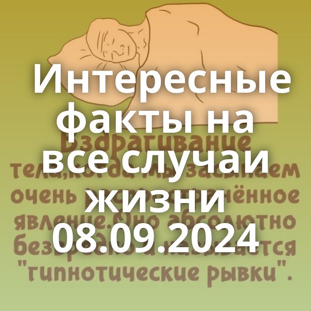 Интересные факты на все случаи жизни 08.09.2024