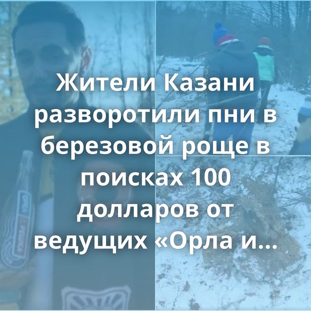 Жители Казани разворотили пни в березовой роще в поисках 100 долларов от ведущих «Орла и Решки»