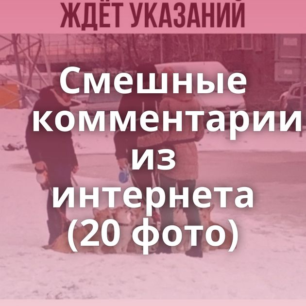 Смешные комментарии из интернета (20 фото)