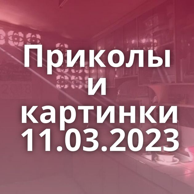 Приколы и картинки 11.03.2023