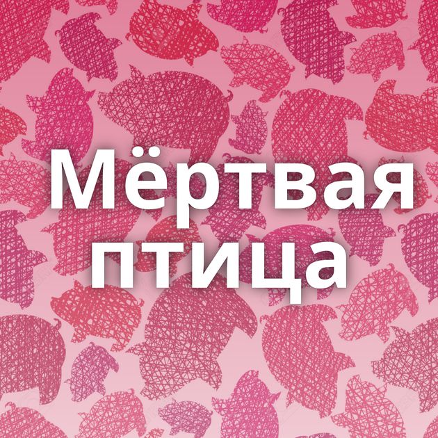 Мёртвая птица