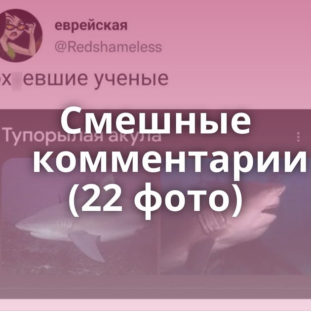 Смешные комментарии (22 фото)