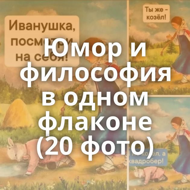 Юмор и философия в одном флаконе (20 фото)