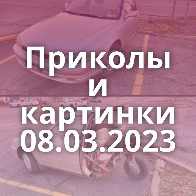 Приколы и картинки 08.03.2023