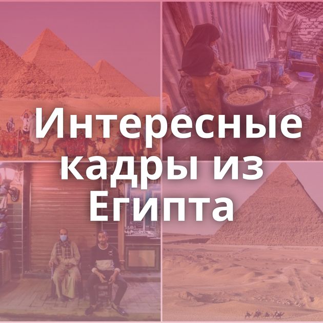 Интересные кадры из Египта