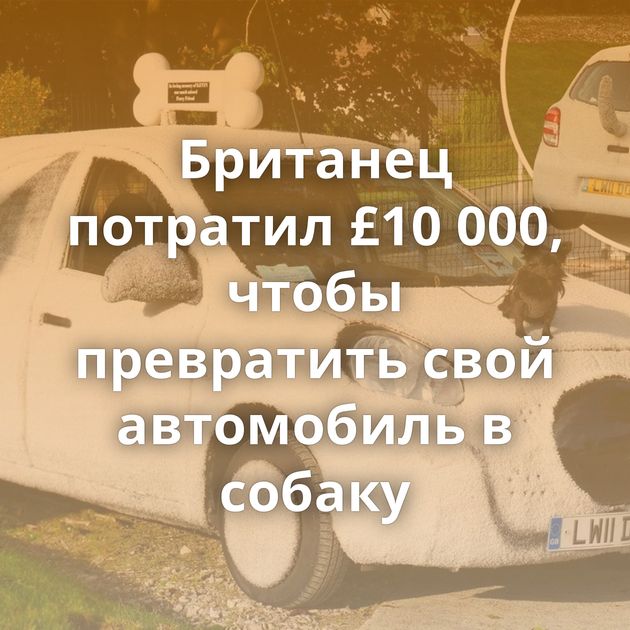 Британец потратил £10 000, чтобы превратить свой автомобиль в собаку