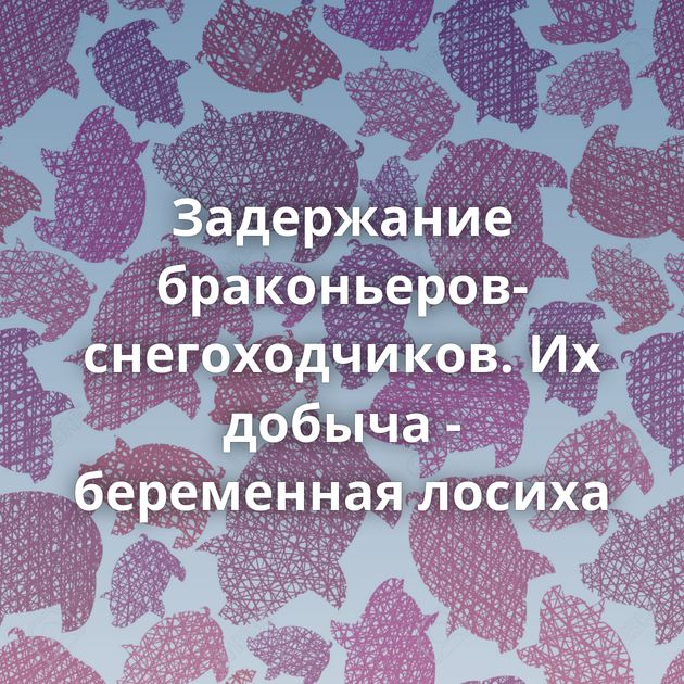 Задержание браконьеров-снегоходчиков. Их добыча - беременная лосиха