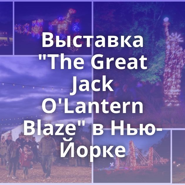 Выставка 