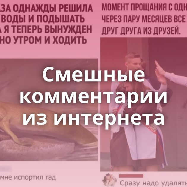 Смешные комментарии из интернета