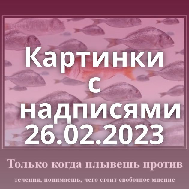 Картинки с надписями 26.02.2023