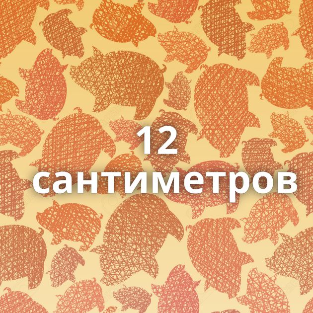 12 сантиметров