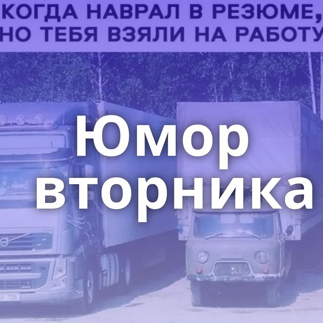 Юмор вторника