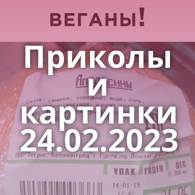 Приколы и картинки 24.02.2023