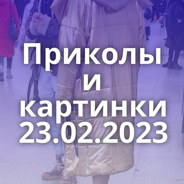 Приколы и картинки 23.02.2023