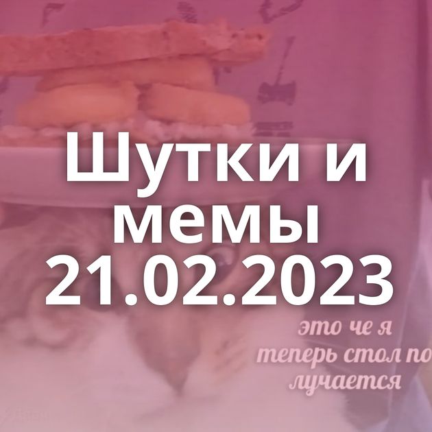 Шутки и мемы 21.02.2023