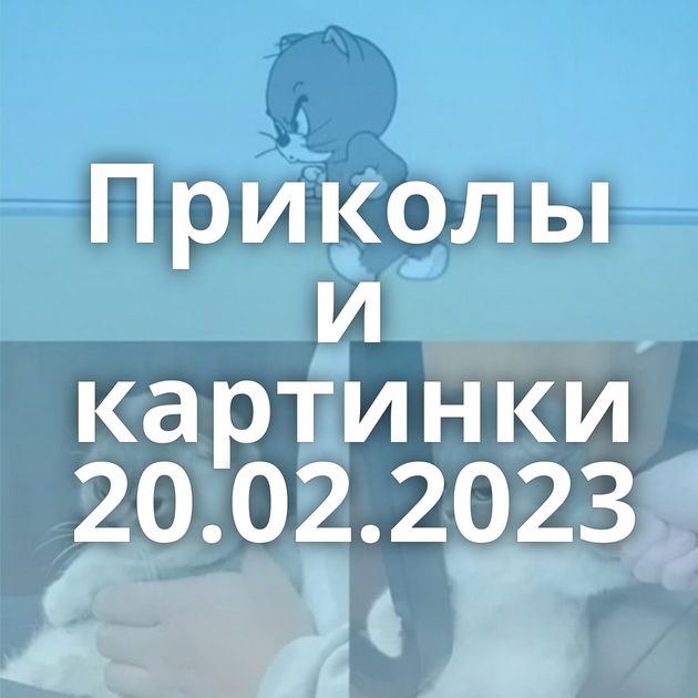 Приколы и картинки 20.02.2023