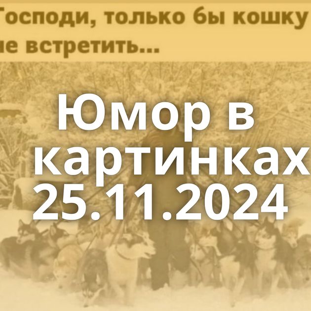 Юмор в картинках 25.11.2024