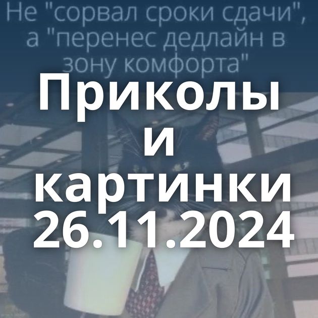 Приколы и картинки 26.11.2024