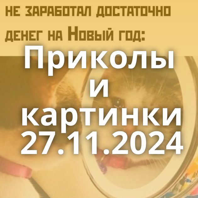 Приколы и картинки 27.11.2024