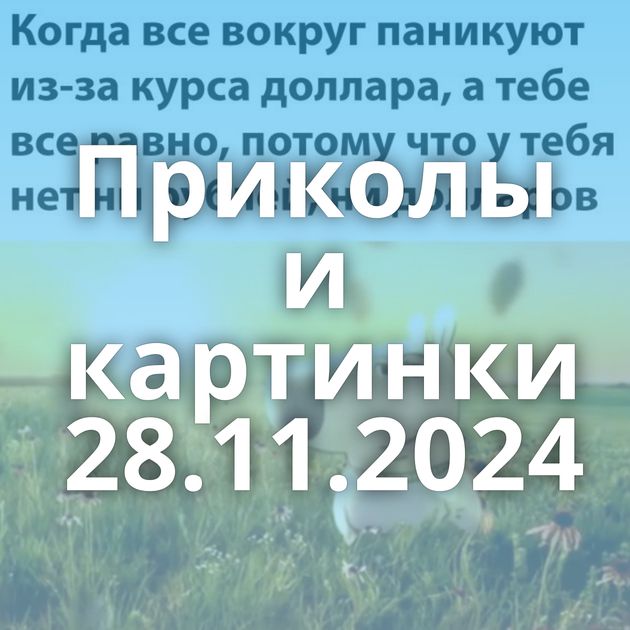 Приколы и картинки 28.11.2024