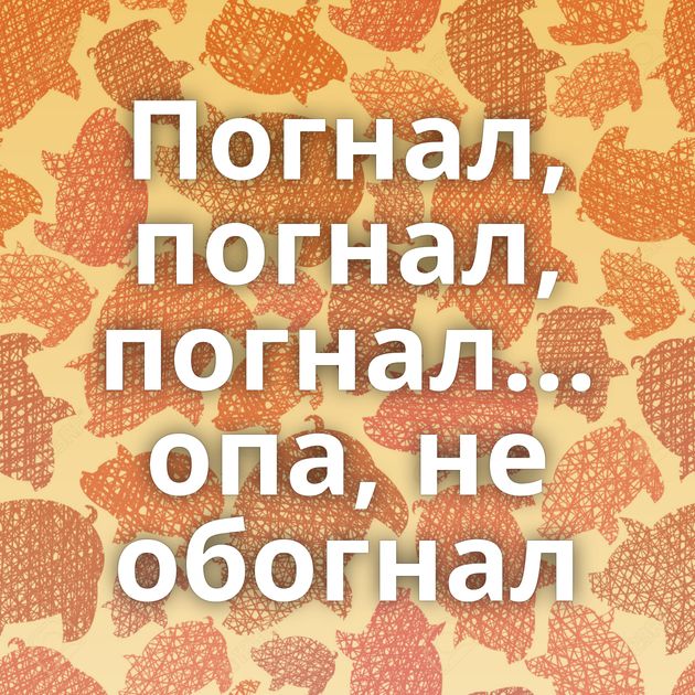 Погнал, погнал, погнал... опа, не обогнал