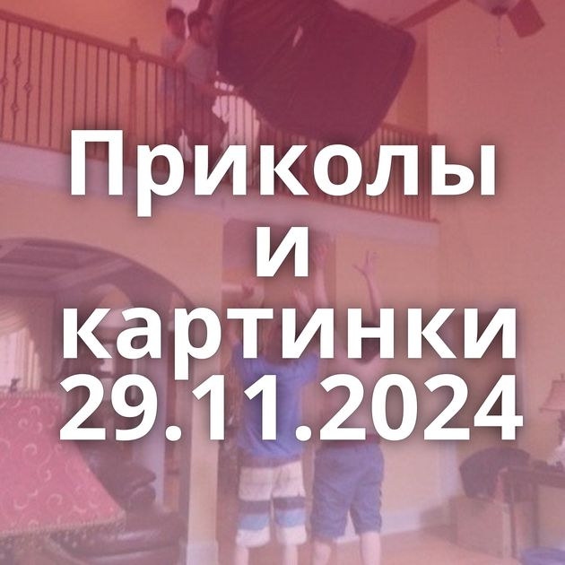 Приколы и картинки 29.11.2024