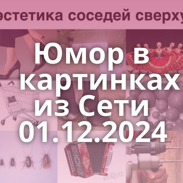 Юмор в картинках из Сети 01.12.2024