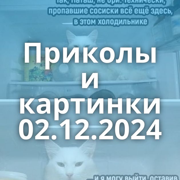 Приколы и картинки 02.12.2024