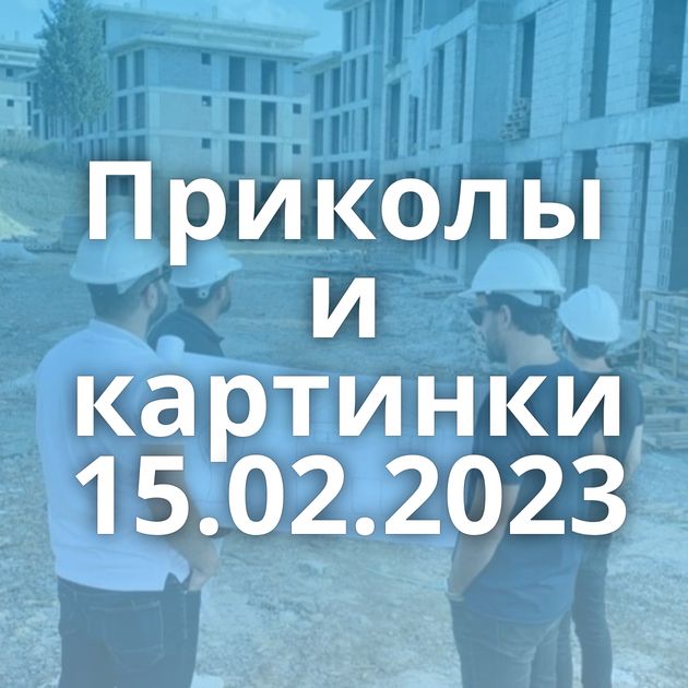 Приколы и картинки 15.02.2023